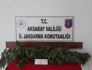 Jandarma’dan Uyuşturucu Operasyonu