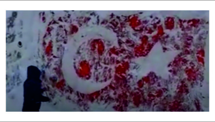 Karla Kaplanan Bayrağımızı Temizledi