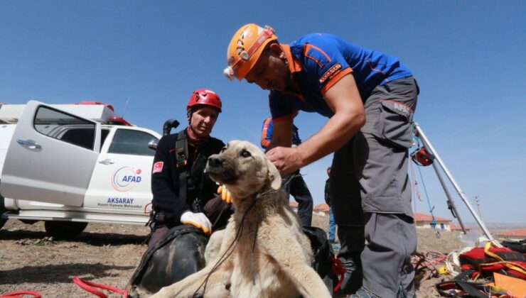 Aksaray’da Kuyuya düşen köpeği AFAD Ekipleri Kurtardı