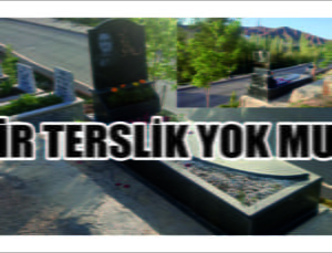 Diğerlerinden Farklı Duran Mezar Dikkat Çekiyor