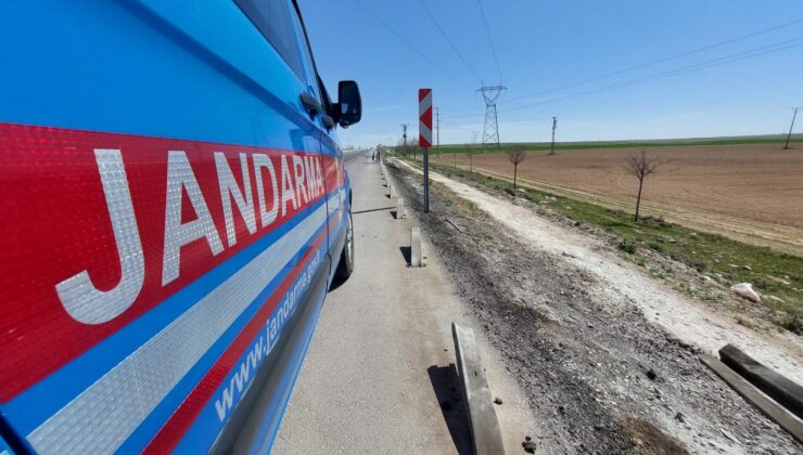 Yol Fareleri Jandarma Ekiplerince Yakalandı