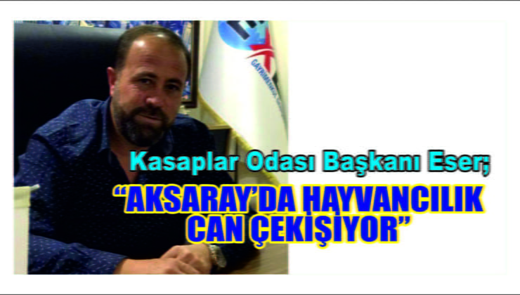 Eser; Tarım ve Hayvancılık Can Çekişiyor