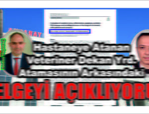 Veteriner Dekan Atamasında İlginç Detay