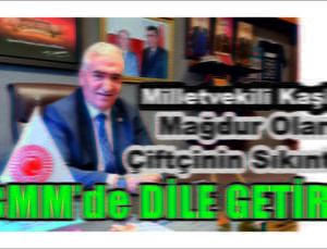 Milletvekili Kaşlı Aksaraylı Çiftçilerin Sorunlarını TBMM Dile Getirdi