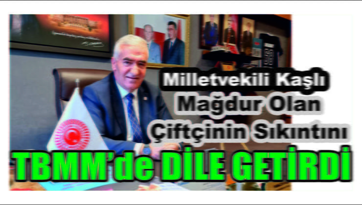Milletvekili Kaşlı Aksaraylı Çiftçilerin Sorunlarını TBMM Dile Getirdi
