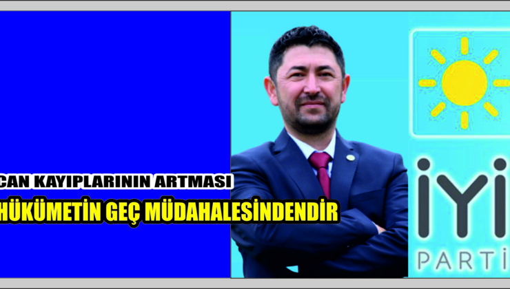 Rant Hırsına Milletimiz Ölümcül Fatura Ödedi