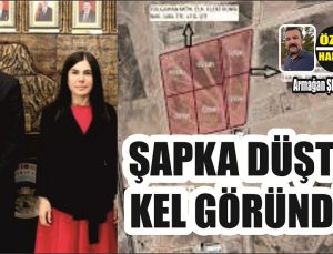 Şapka Düştü Kel Göründü