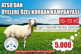 Koçaş Açıkla Kaç Tane Satıldı