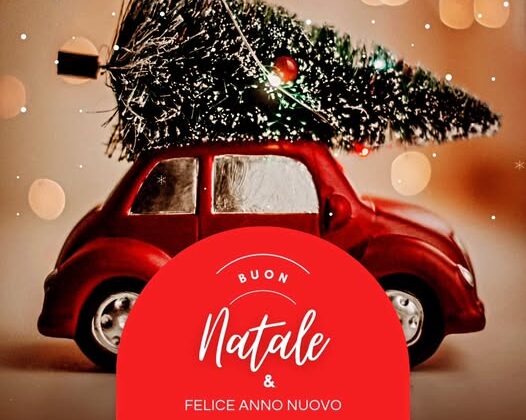 Toprak’tan 2025 Yeni Yıl Mesajı