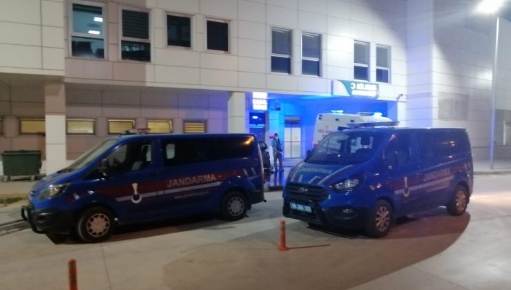 Ceviz Ağacından Düşen Kadın Hayatını Kaybetti