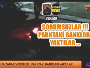 Sorumsuzlar Parktaki Bankları Yaktılar