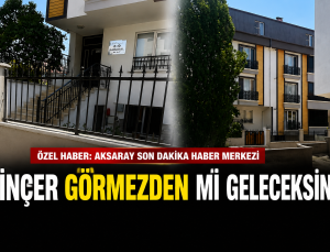 Dinçer Görmezden mi Geleceksin?