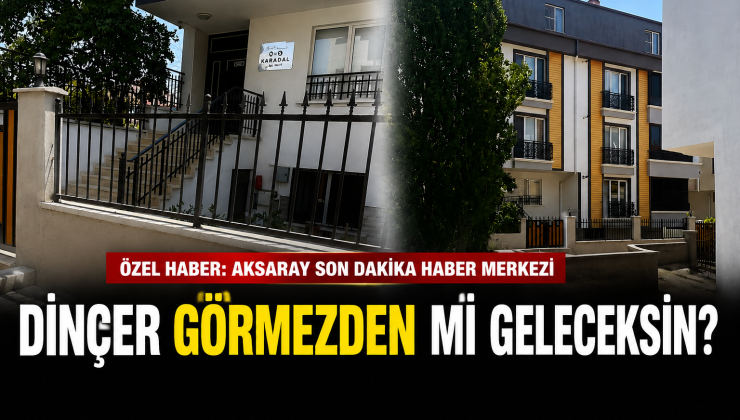 Dinçer Görmezden mi Geleceksin?